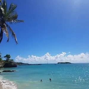 https://studio-pieds-dans-leau.comcaribbean.com